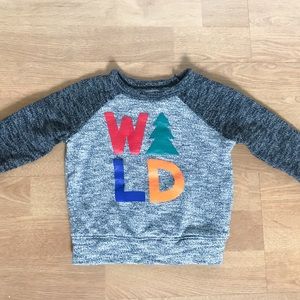Wild Sweater